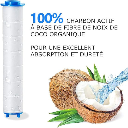 Filtre Remplaçable  POUR LA POMME DE DOUCHE DERMA